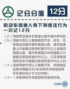 交规38条和91条,38条与91条要点解析