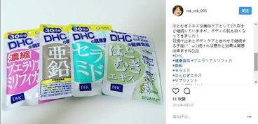 91级缺金狗粮怎么办,轻松应对资源短缺难题